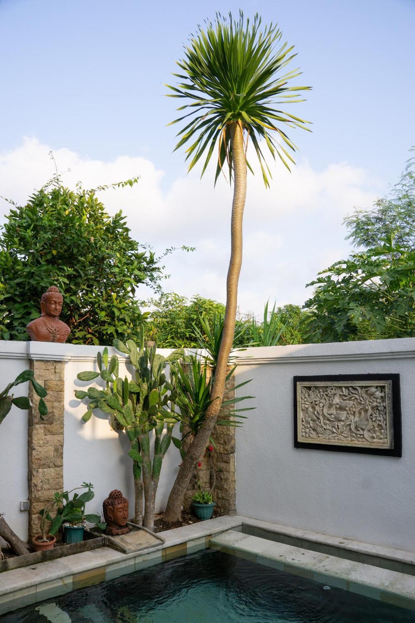 Hills House Villa By Globalstay - Jimbaran X Balangan X Gwk Ngoại thất bức ảnh